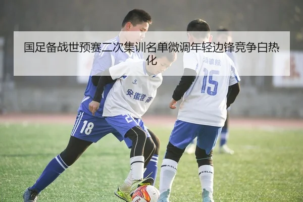 国足备战世预赛二次集训名单微调年轻边锋竞争白热化